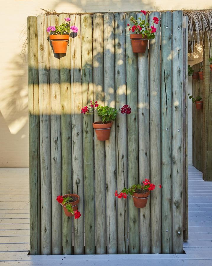 Posada Tamarindo ホセ・イグナシオ エクステリア 写真